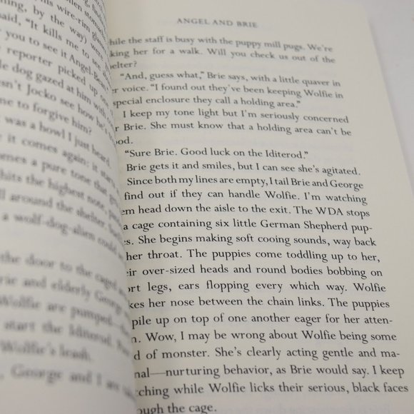 Angel and Brie Barbara Lopuszynski Paperback YA Fiction Adventure - Picture 10 of 11